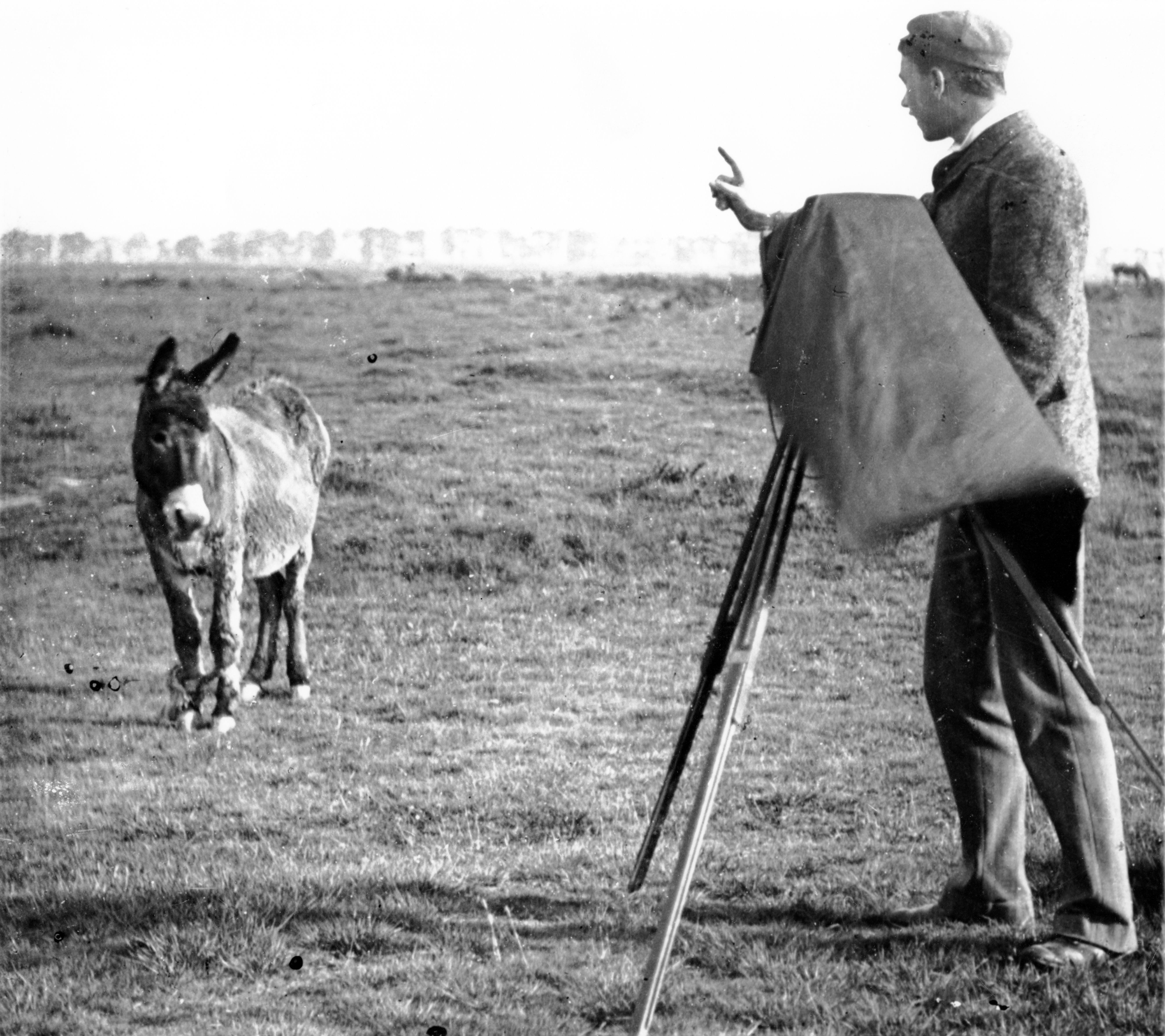 Photographing a donkey on Mitcham Common Photographer on Mitcham Common